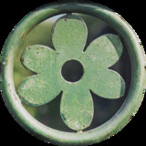 artist image
