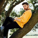Yellowlees profile