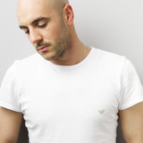 artist image