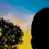 artist image