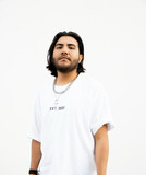 artist image