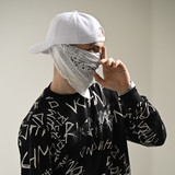 artist image