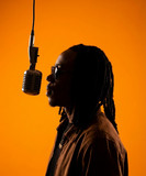 artist image