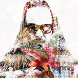 artist image