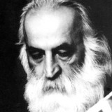 محمدرضا لطفی · Mohammad Reza Lotfi