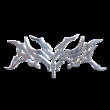 Astral Angels profile