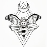 Alxx profile