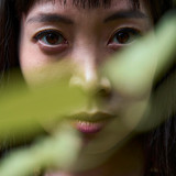 Mai Linh Dang Quartett