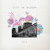 VCLE profile