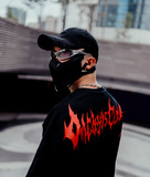 artist image