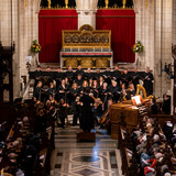 artist image