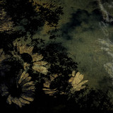 As Hope Dies | Spotify