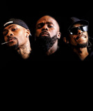 Horseshoe G.A.N.G. profile