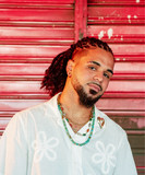 artist image