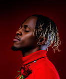 artist image