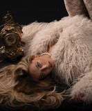Ariann Music