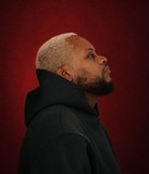 artist image