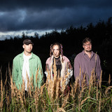The Pinpricks Photo