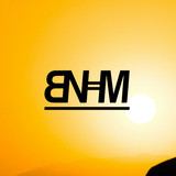 artist image