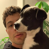 Aaron Percy profile