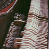 artist image