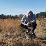 artist image