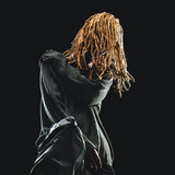artist image