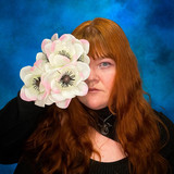 artist image