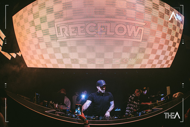 Reece Low press photo