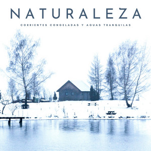 Naturaleza: Corrientes Congeladas y Aguas Tranquilas album