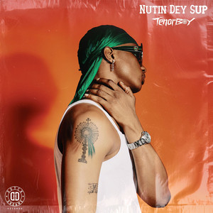 Nutin Dey Sup by Tenorboy