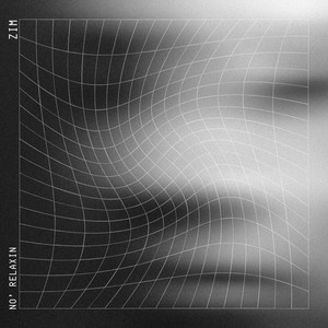 No Relaxin' by Zim