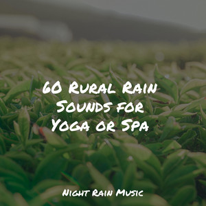 60 Rural Rain Sounds for Yoga or Spa album
