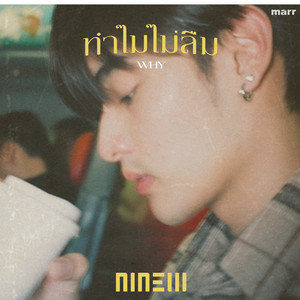 ทำไมไม่ลืม by NINEW