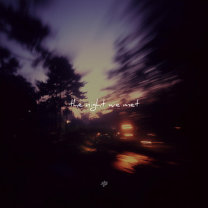 The Night We Met