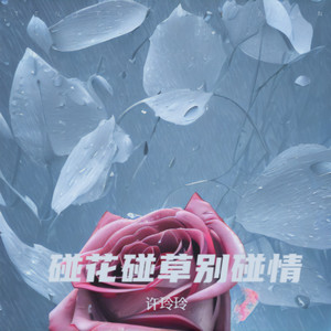 碰花碰草别碰情 by 许玲玲, 許玲玲