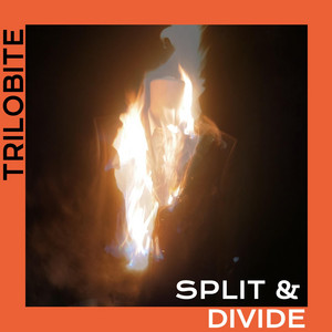 Split & Divide by Trilobite
