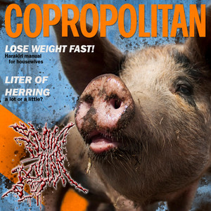 Copropolitan