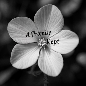 A Promise Kept by LOUNANG SOSO