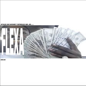 FLEXa by AKAI