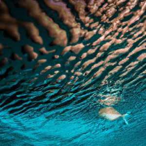 ! ! ! ! Under the Surface