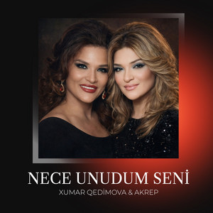 Nece Unudum Seni