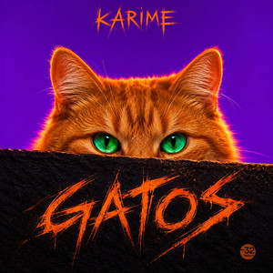 Gatos by Karime