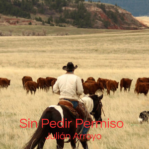 Desde el Polvo Hasta la Cima by Julián Arroyo