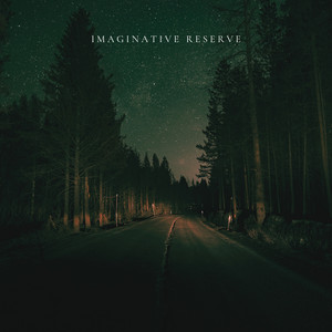 Imaginative Reserve by Hector Warrens