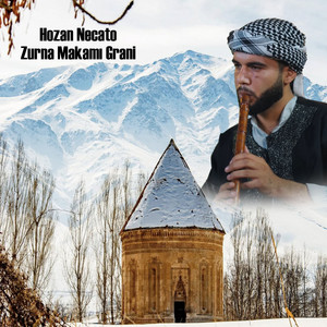 Hozan Necato - Yaramın