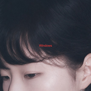 Windows by Darin