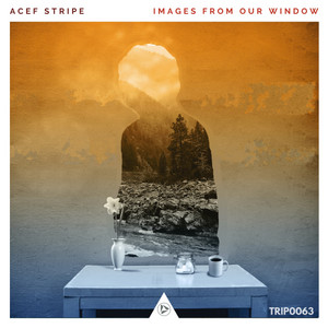 Acef Stripe photo