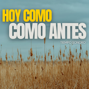 Hoy Como Como Antes by Tiempo Sonoro