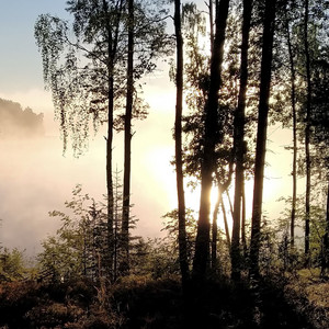Songs of Hope : No Words - Just Grace by Pekka Westerholm
